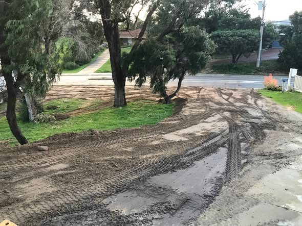 Landscaped front yard on a steep block: photo 10